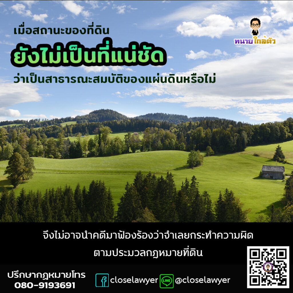 My Image 12