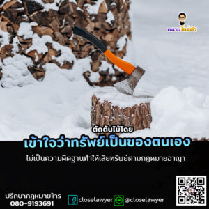 ตัดต้นไม้โดยเข้าใจว่าทรัพย์เป็นของตนเอง ไม่เป็นความผิดฐานทำให้เสียทรัพย์ตามกฎหมายอาญา