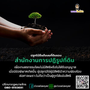 ปลูกไม้ยืนต้นบนที่ดินของสำนักงานการปฏิรูปที่ดินเพื่อเกษตรกรรม โดยไม่มีสิทธิหรือไม่ได้รับอนุญาต เมื่อมีข้อพิพาทเกิดขึ้น ผู้ปลูกมิใช่ผู้มีสิทธินำความฟ้องร้องต่อศาลเพราะไม่ถือว่าเป็นผู้ถูกโต้แย้งสิทธิ