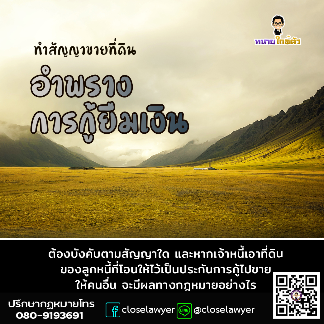 My Image 41
